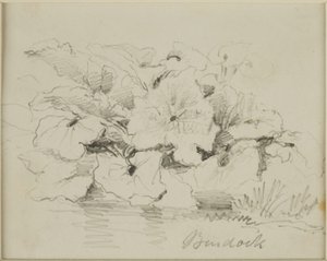 Doğa Çalışması - Dulavratotu by John Wilson Carmichael